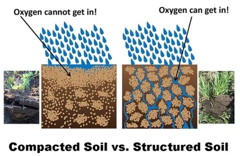 Diagram comparing compacted soil and well-structured soil — water and oxygen pool on top of compacted soil but flow freely through structured soil