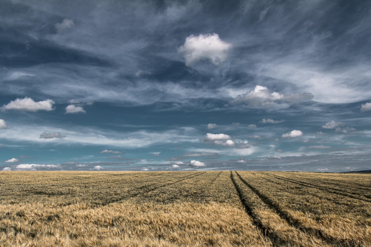 A Happy and Healthy Soil Plan for 2026