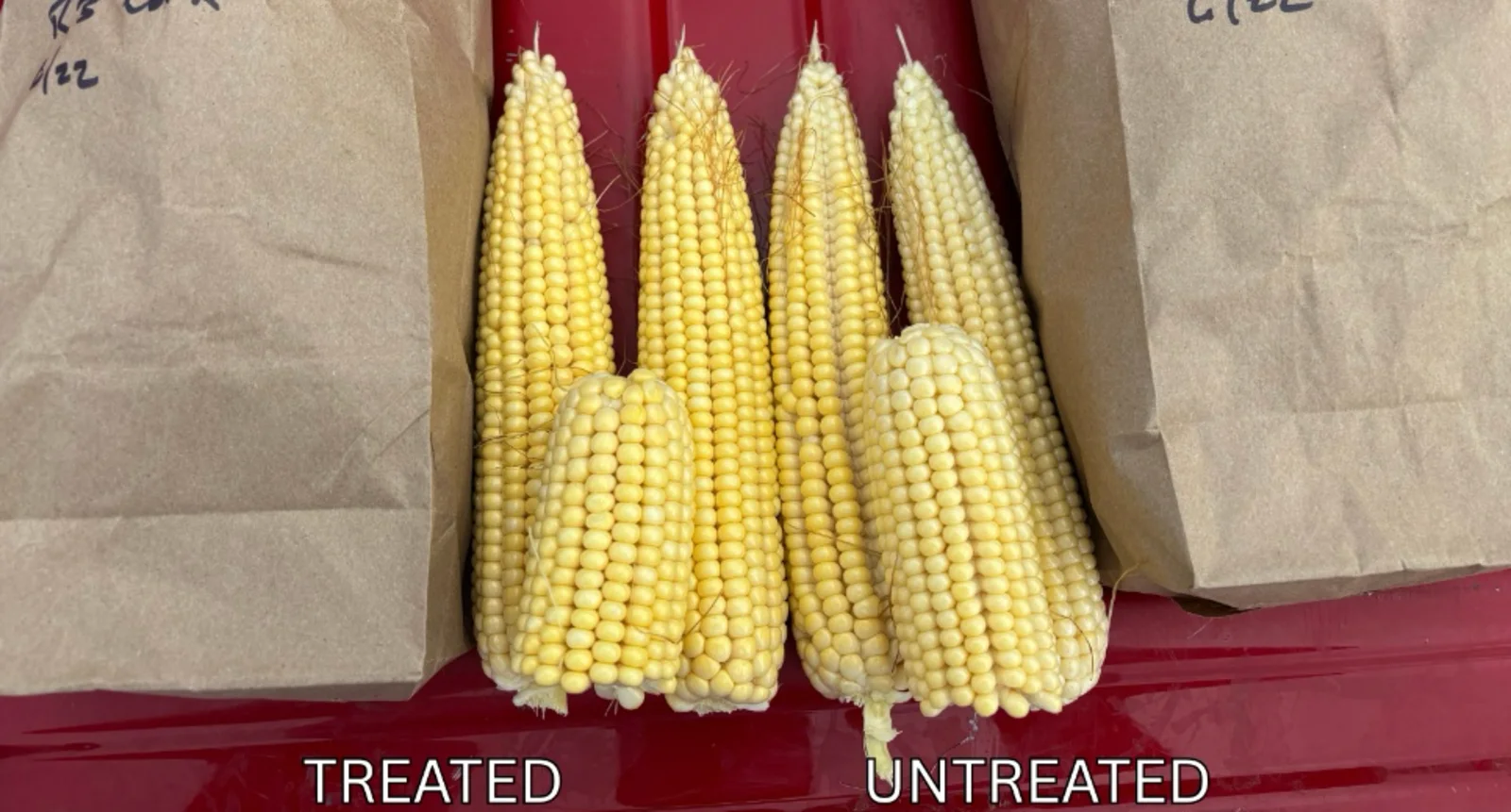 Southern Missouri Trials: 30 Days After Treatment