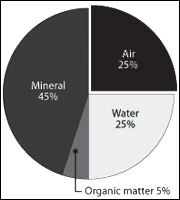 Composition of a healthy soil — about half pore space (air + water)
